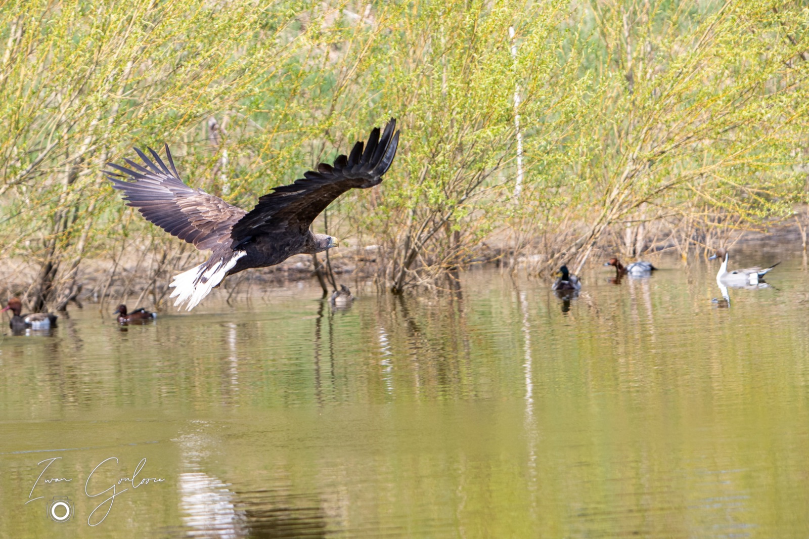 18 april 2022 120303 1DX40178